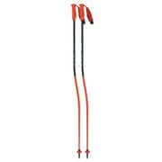 RD 16 GS PRO OZ30122 KIT 140cm 2本セット [スキー ストック レーシング]
