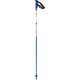 SRACE CARBON L47022000 Blue 110cm 2本セット [スキー ストック]