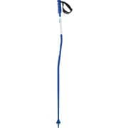 SRACE SG L47022200 Blue 110cm 2本セット [スキー ストック]
