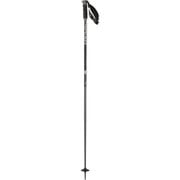 ARCTIC S3 L41530000 Black 120cm 2本セット [スキー ストック]