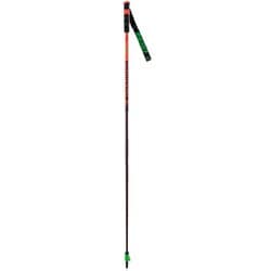 ヨドバシ.com - ロシニョール ROSSIGNOL HERO CAK GREEN LIGHT RDL1000 130cm 2本セット [スキー  ストック] 通販【全品無料配達】