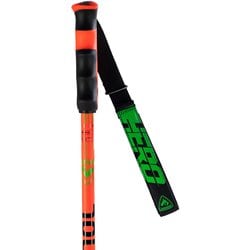 ヨドバシ.com - ロシニョール ROSSIGNOL HERO CAK GREEN LIGHT RDL1000 130cm 2本セット [スキー  ストック] 通販【全品無料配達】