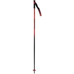 ヨドバシ.com - ロシニョール ROSSIGNOL HERO SL RDL1030 120cm 2本