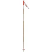ELECTRA PREMIUM RDL5020 BEIGE 115cm 2本セット [スキー ストック]