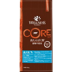 ウェルネス コア（高たんぱく質・穀物不使用）成犬用オーシャンフィッシュ（1～6歳） [犬用 ドライフード 800g 総合栄養食 国内正規販売品]