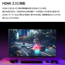 LG 47.53インチ　有機ELゲーミングモニター120Hz LG 47.53インチ 有機ELゲーミングモニター120Hz