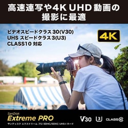 ヨドバシ.com - サンディスク SANDISK SDSDXXD-512G-JNJIP [Extreme