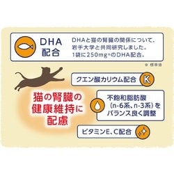 アイシア　健康缶　ペースト　総合栄養食　キャットフード　高齢猫　シニア猫 アイシア シニア猫用 健康缶パウチ 腸内環境ケア 40g | ペット