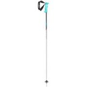 SAPHIR 652 37311 ホワイト 107cm 2本セット [スキー ストック レディース]
