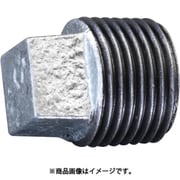 EA469BJ-106 [R 3/4インチ プラグ]