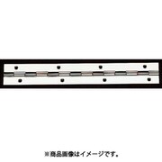 450×30mm 長丁番(ステンレス製) EA951CR-450