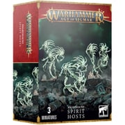 NIGHTHAUNT： SPIRIT HOSTS
