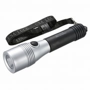 LED懐中ライト 50ルーメン ブラック LHP-05D5-K