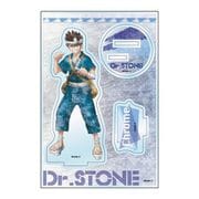 Dr.STONE アクリルスタンドJr. グランジアート Ver. クロム [キャラクターグッズ]