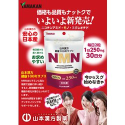 ヨドバシ.com - 山本漢方製薬 NMN（粒） 通販【全品無料配達】