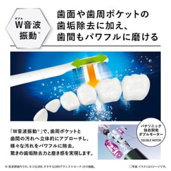 【新品】パナソニック  音波振動ハブラシ 電動歯ブラシ Panasonic 本体 概要 音波振動ハブラシ ドルツ EW-DP36 | オーラルケア（電動