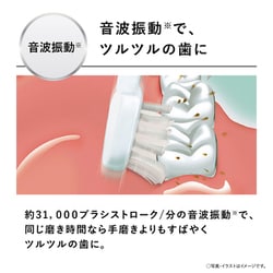 ヨドバシ.com - パナソニック Panasonic 音波振動ハブラシ