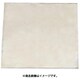 300×300×1.0mm みがき鋼板 EA441VG-102