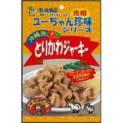 とりかわジャーキー エスニック味 45g