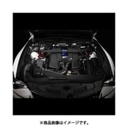 27020 [BLITZ ブリッツ カーボンインテークシステム]