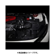 27023 [BLITZ ブリッツ カーボンインテークシステム]