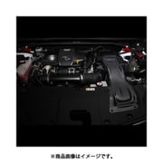 27024 [BLITZ ブリッツ カーボンインテークシステム]