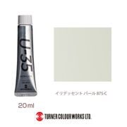 U-35 20ml 875 イリデッセント パール UA020875