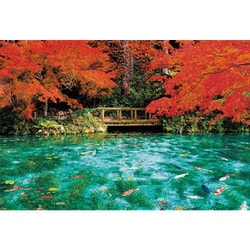 51-300 日本風景 秋色に彩るモネの池（岐阜） [ジグソーパズル 1000ピース]