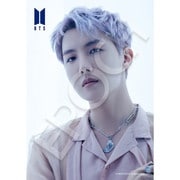 41-311 アーティストジグソー BTS Proof j-hope [ジグソーパズル 108ピース]