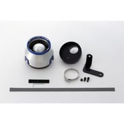 42225 [BLITZ ブリッツ ADVANCE POWER AIR CLEANER]