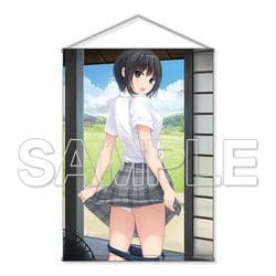 Amazon | 珈琲貴族 青山澄香 抱き枕カバー レオタードver C97