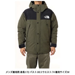 L size THENORTHFACE MOUNTAIN DOWN 国内正規品