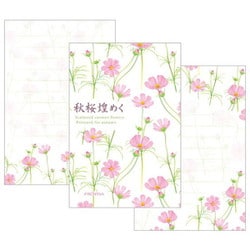 フロンティア はがき箋 秋桜煌めく HGS-438