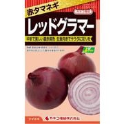 KS300シリーズ（野菜） No.343 赤玉ねぎ レッドグラマー