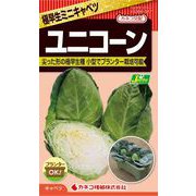 KS300シリーズ（野菜） No.347 極早生ミニキャベツ ユニコーン