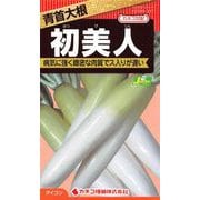 KS300シリーズ（野菜） No.337 青首大根 初美人（初夏美人）