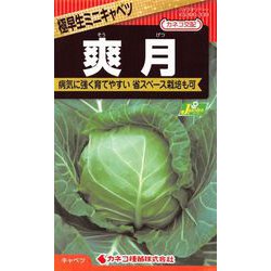 ヨドバシ.com - カネコ種苗 ジェーガーデン J.garden KS300シリーズ 