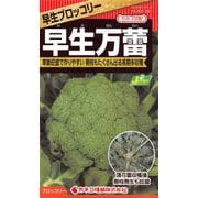 KS300シリーズ（野菜） No.341 早生ブロッコリー 早生万蕾