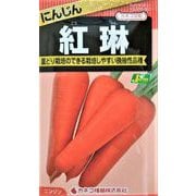 KS300シリーズ（野菜） No.801 ニンジン 紅琳