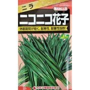 KS300シリーズ（野菜） No.804 ニラ ニコニコ花子
