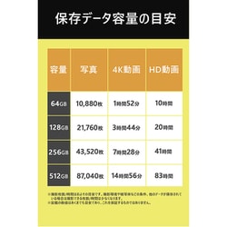 SUNEAST SDXCカード① 128GB UHS-II V60