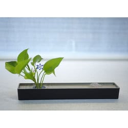 「小さな水盤」 雫影（しずか） SLIM naft-027-GBS