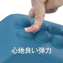 ヨドバシ.com - アルファックス alphax スパインストレッチ 整律