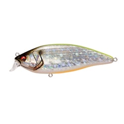 KONOSIRUS SHAD（F） コノシラス シャッド GG チャートバックコノシロ [ビッグベイト]