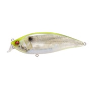 KONOSIRUS SHAD（F） コノシラス シャッド GP ゴーストチャートコノシロ [ビッグベイト]