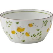 電子レンジ・食洗機対応 野の花 RKパック 中 Φ133×65mm