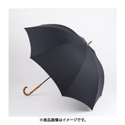 202118104-58 [58レクタス 長傘 ターコイズ]