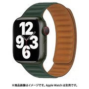 RM3896GR [AppleWatch互換 マグネット式バンド 42-45mm対応 グリーン]
