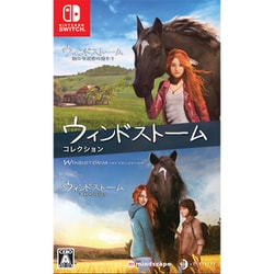 ウィンドストーム ザ・コレクション [Nintendo Switchソフト]