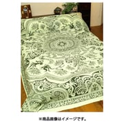 ISAP1269 [トライバルMC270 GREEN]